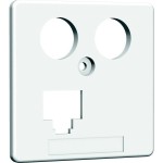 Homeway HAXHSE-G0401-C045 Zentralplatte TV+LAN 50x50mm reinweiß 