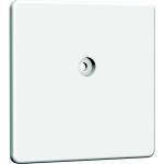 Homeway HAXHSE-G0001-C000 Zentralplatte Blind 50x50mm reinweiß 