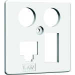 Homeway HAXHSE-G0401-C024 Zentralplatte TV+LAN/TAE 50x50mm 