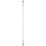 Philips MASLEDtube LED Tube T5 für EVG G5 2500lm 16,5W 1163mm 4000K dimmbar 74331700 