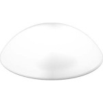 RZB 05-211005.002 Ersatzglas opal-matt Ø250mm 