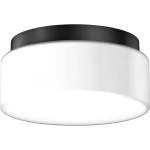 RZB 21101.003 Kreis Opalglasleuchte opal-matt schwarz A60 75W 