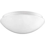 RZB 221023.002.1 Flat Polymero IP44 PMMA Decken-/Wandleuchte weiß A60 75W PMMAWanne 