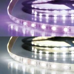 ISOLED 112734 LED SIL RGB+KW Flexband, 24V 