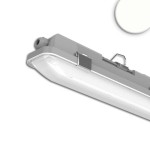 ISOLED 116392 LED Linear Wannen- und Sonderleuchten 