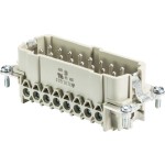 Wieland 70.310.1640.0 Steckereinsatz 10 Stück 