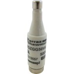 Mersen NDZGG50V6 D-Sicherungseinsatz NDZ gG 6A 500V 