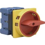 Kraus & Naimer KG32B.T203/01.E Hauptschalter mit Not-Aus-Funktion 