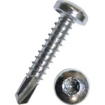 Dresselhaus 6054/001/51 4,8x25 Bohrschrauben mit Linsenk. Innensechsrund zn 100 Stück 