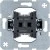 morepic-1