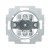 morepic-1