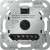 morepic-1