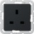 morepic-1
