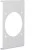 morepic-1