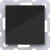 morepic-1