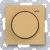 morepic-1