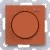 morepic-1