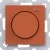 morepic-1