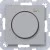 morepic-1
