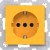 morepic-1
