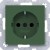 morepic-1
