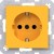 morepic-1