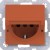 morepic-1