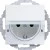 morepic-1