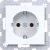 morepic-1