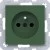 morepic-1