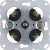 morepic-1