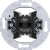 morepic-1