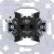 morepic-1