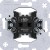 morepic-1