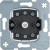 morepic-1