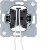 morepic-1
