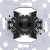 morepic-1