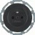morepic-1