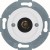 morepic-1