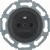 morepic-1