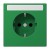 morepic-1
