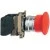 morepic-1