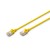 morepic-1