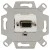 morepic-1
