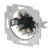 morepic-4