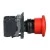 morepic-7