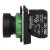 morepic-7