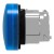 morepic-7