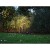 morepic-8